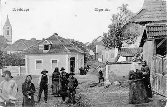 Photograph