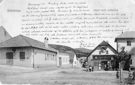 Photograph