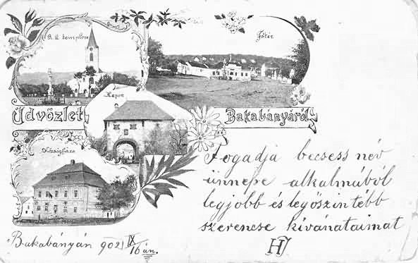 Photograph